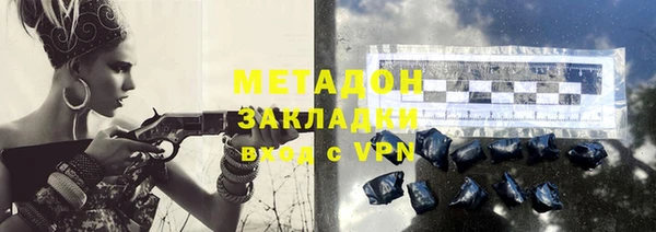индика Осинники
