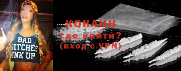 индика Осинники