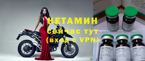 индика Осинники