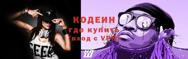 индика Осинники
