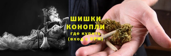 индика Осинники