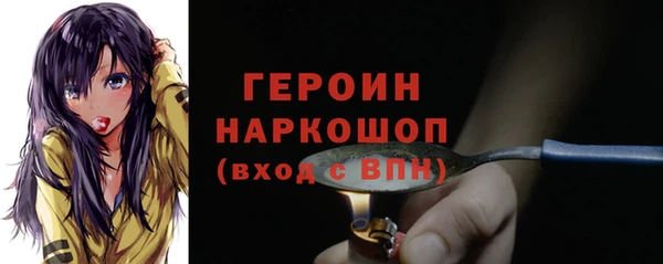 индика Осинники