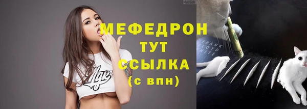 индика Осинники