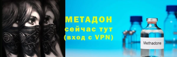 индика Осинники
