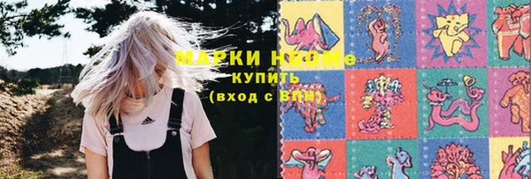индика Осинники