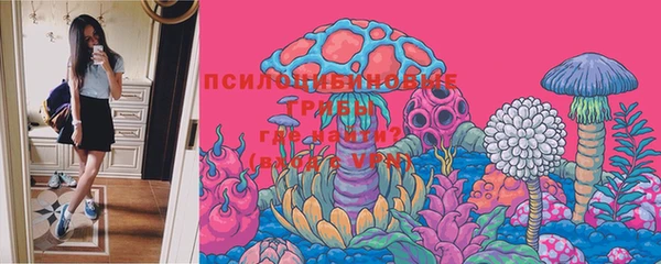 индика Осинники