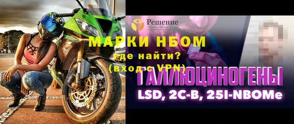 индика Осинники