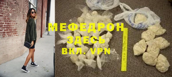 индика Осинники