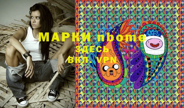 индика Осинники