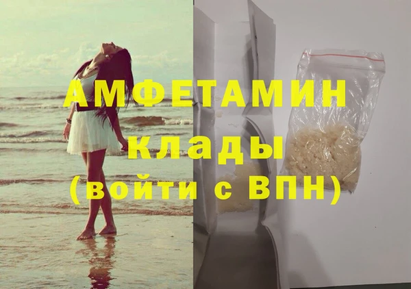 индика Осинники