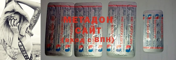 индика Осинники